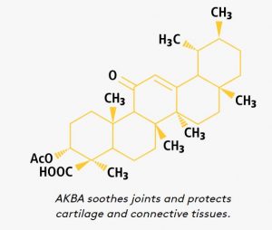 boswellia