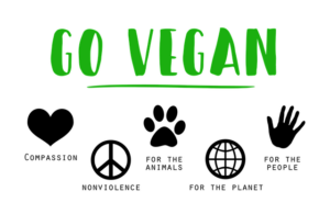 Best vegan supplements uk 