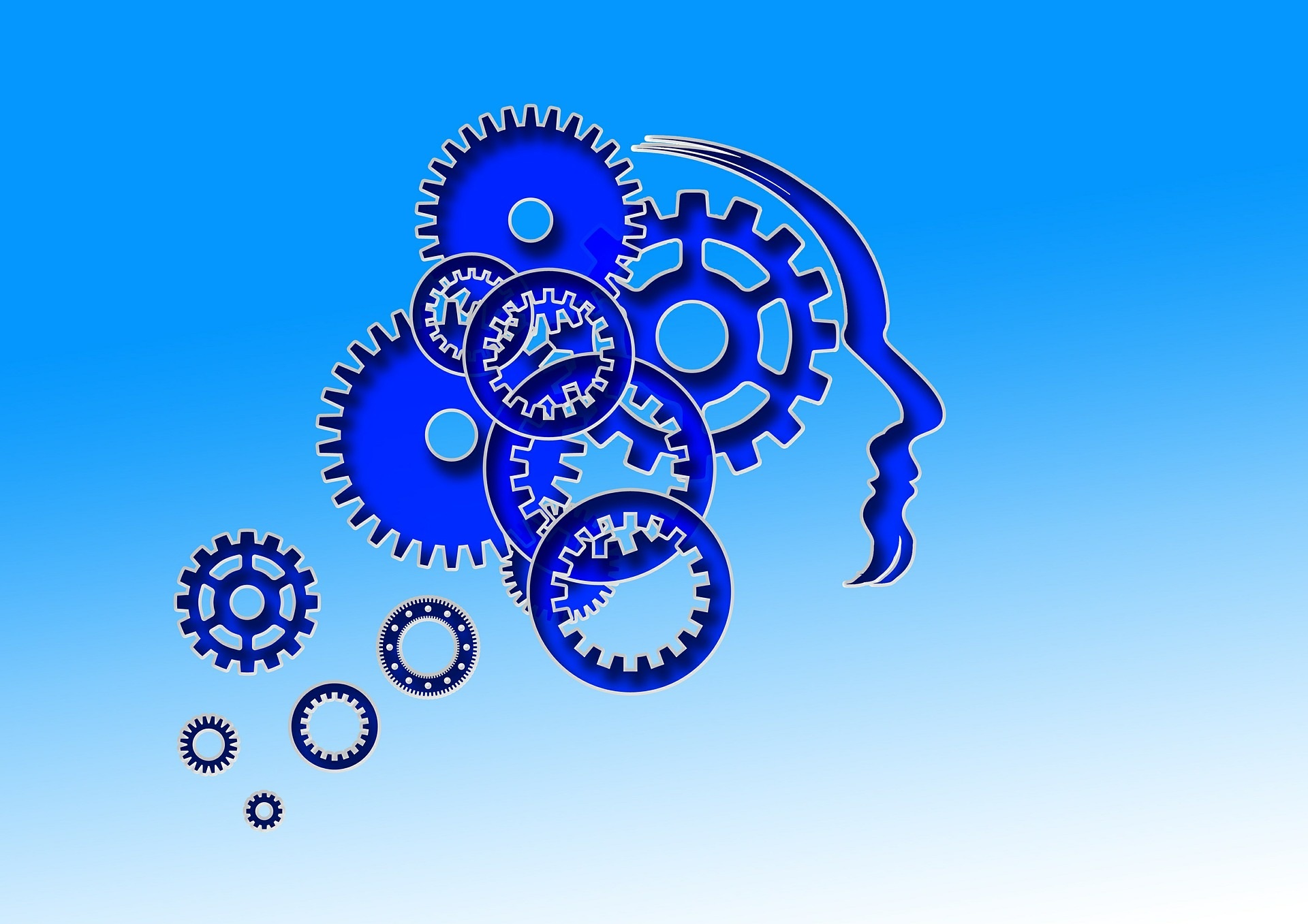 nootropics cog head