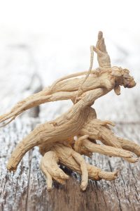Ginseng. CC image courtesy of Florena_Presse on Flickr.com