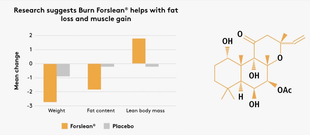 Forslean helps with fat loss and muscle gain