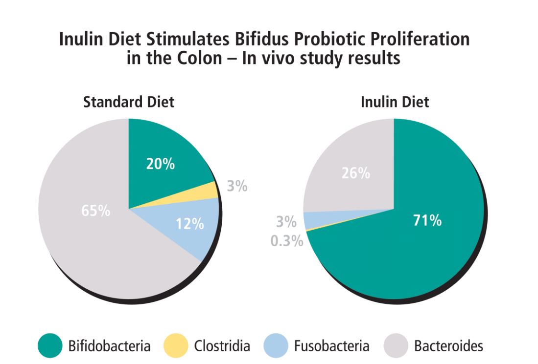 Pie graph demonstrating that an inulin diet stimulates 71% of bifidobactria, compared to just 20% in a standard diet