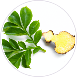 glucomannan in HourGlass Fit
