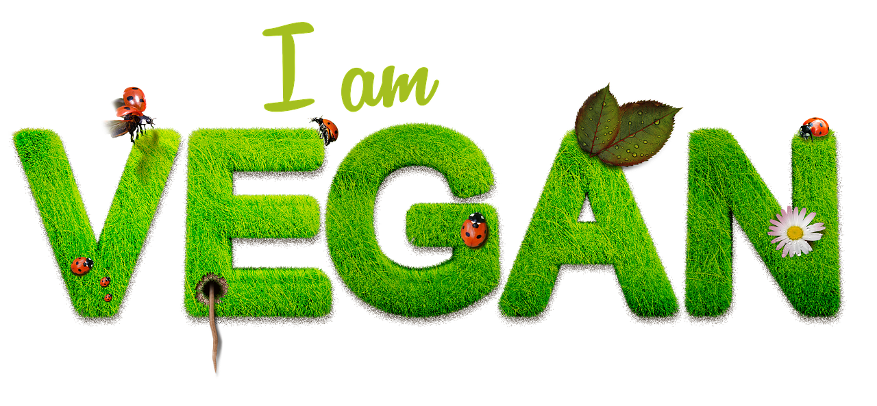 I am vegan sign