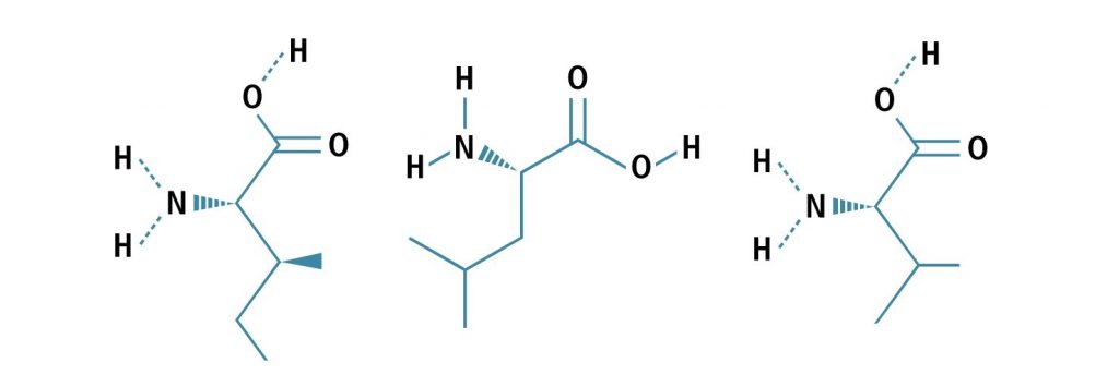 Branched Chain Amino Acids are named after the extra 'branch' in their molecular structure