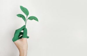 A good vegan BCAA should also be eco-friendly