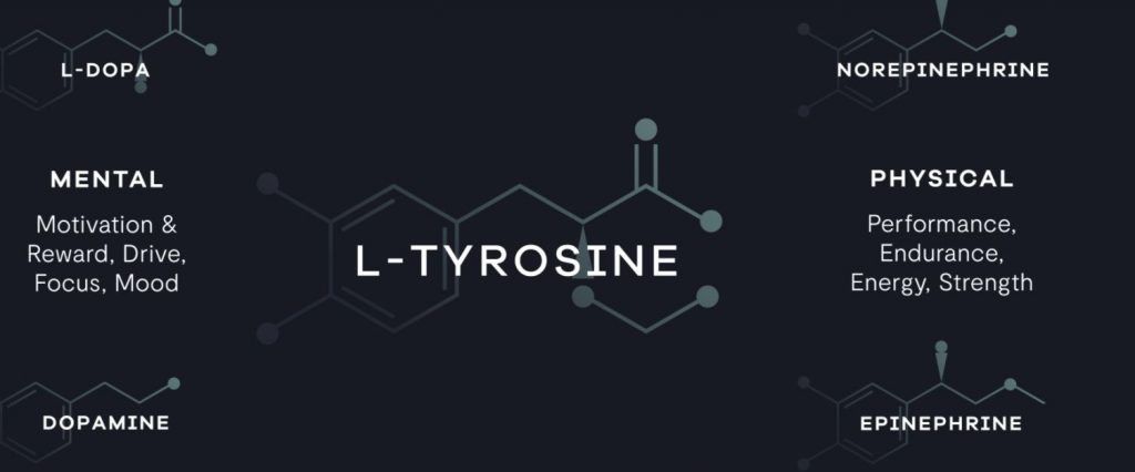 L-tyrosine, an important nootropic, in Pre Lab Pro